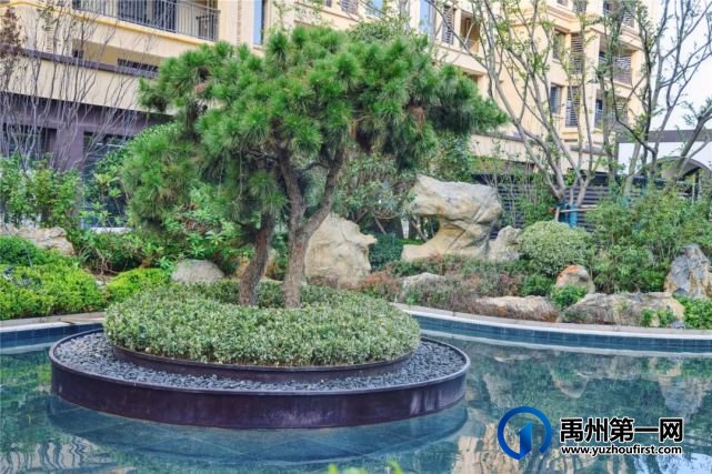 禹州信友天润公馆9月30日即将交付 禹州信友天润公馆9月30日即将交付