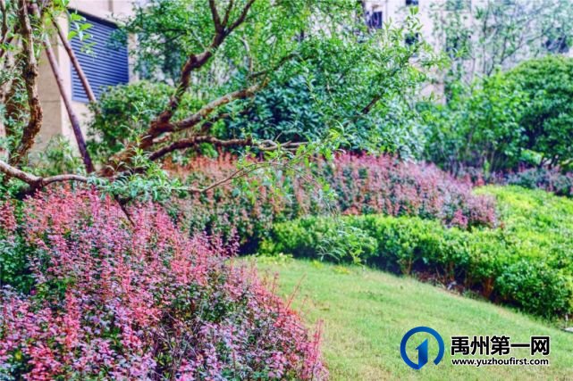 禹州信友天润公馆9月30日即将交付 禹州信友天润公馆9月30日即将交付