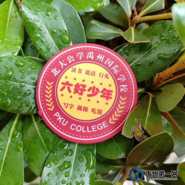 北大公学禹州国际2021,梦想启航,心有榜样,努力生长 北大公学禹州国际2021,梦想启航,心有榜样,努力生长