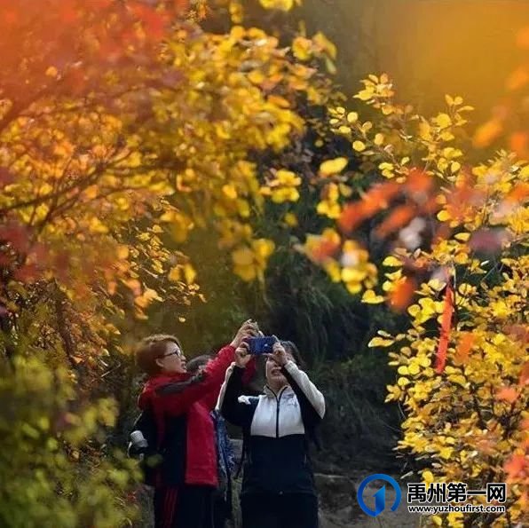 假期即将开启!禹州人一定不能错过的金秋文旅消费季赶紧get! 假期即将开启!禹州人一定不能错过的金秋文旅消费季赶紧get!