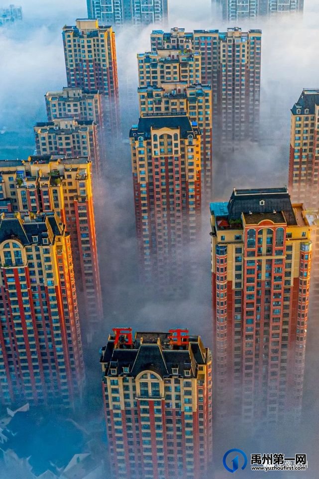 雾润禹州——禹州市摄影家协会会员作品选 雾润禹州——禹州市摄影家协会会员作品选