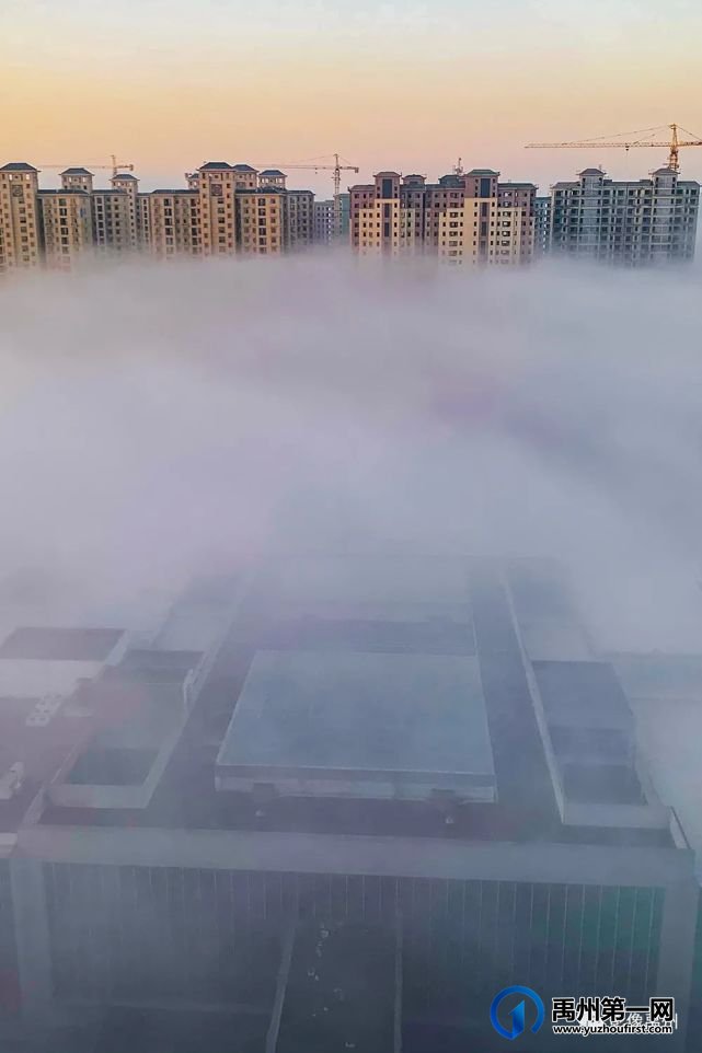 雾润禹州——禹州市摄影家协会会员作品选 雾润禹州——禹州市摄影家协会会员作品选