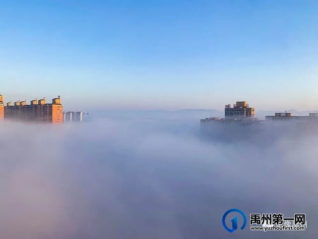 雾润禹州——禹州市摄影家协会会员作品选 雾润禹州——禹州市摄影家协会会员作品选