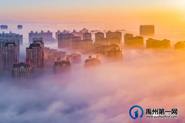 雾润禹州——禹州市摄影家协会会员作品选 雾润禹州——禹州市摄影家协会会员作品选