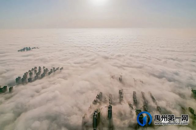 雾润禹州——禹州市摄影家协会会员作品选 雾润禹州——禹州市摄影家协会会员作品选