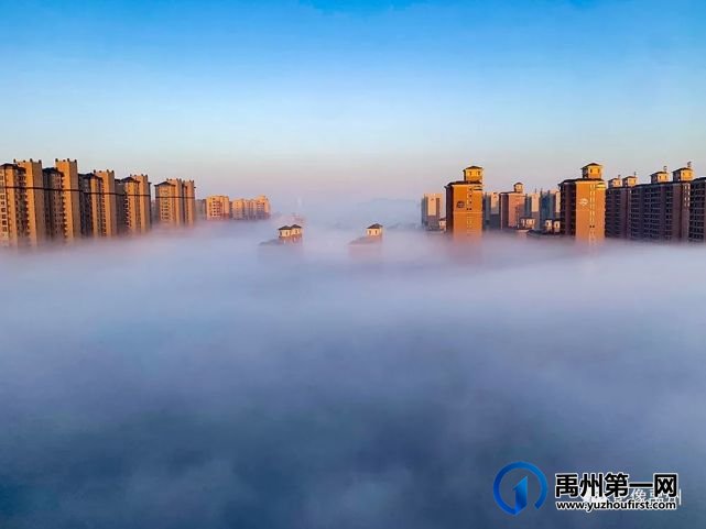 雾润禹州——禹州市摄影家协会会员作品选 雾润禹州——禹州市摄影家协会会员作品选