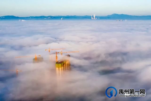 雾润禹州——禹州市摄影家协会会员作品选 雾润禹州——禹州市摄影家协会会员作品选
