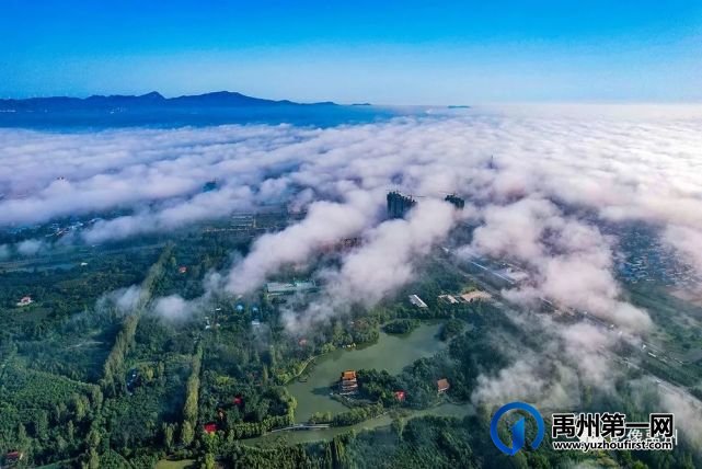雾润禹州——禹州市摄影家协会会员作品选 雾润禹州——禹州市摄影家协会会员作品选