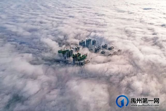 雾润禹州——禹州市摄影家协会会员作品选 雾润禹州——禹州市摄影家协会会员作品选