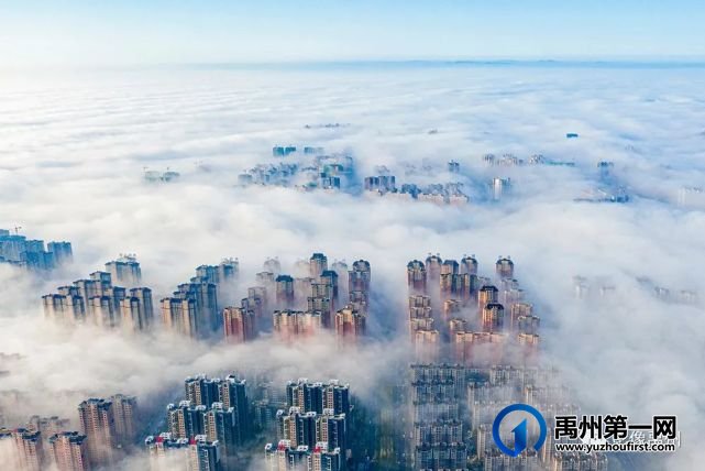 雾润禹州——禹州市摄影家协会会员作品选 雾润禹州——禹州市摄影家协会会员作品选