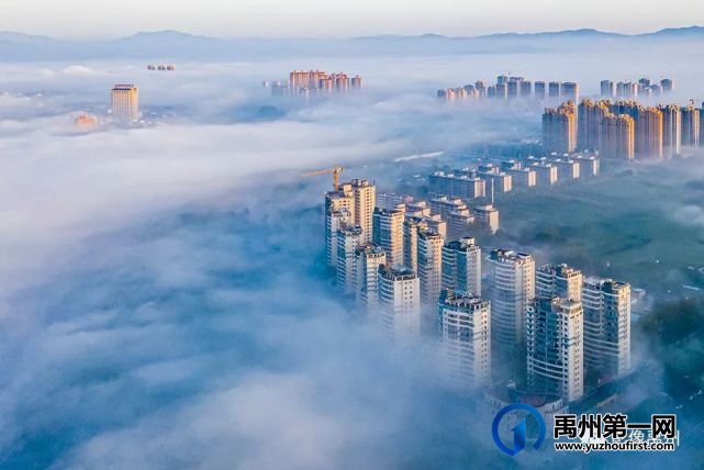 雾润禹州——禹州市摄影家协会会员作品选 雾润禹州——禹州市摄影家协会会员作品选
