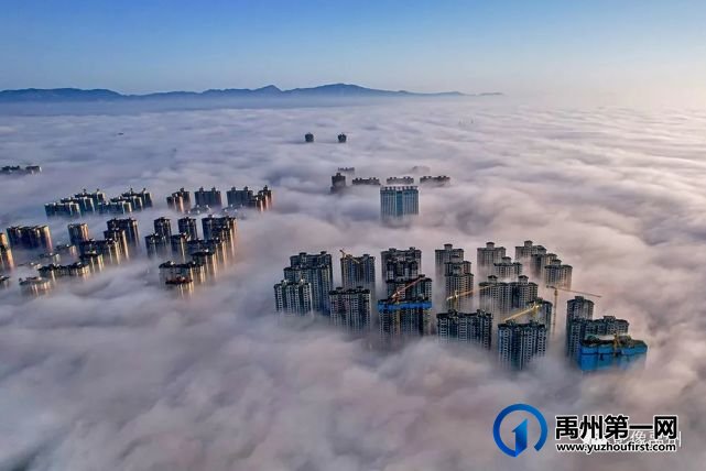 雾润禹州——禹州市摄影家协会会员作品选 雾润禹州——禹州市摄影家协会会员作品选