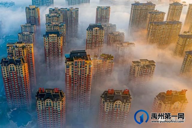 雾润禹州——禹州市摄影家协会会员作品选 雾润禹州——禹州市摄影家协会会员作品选