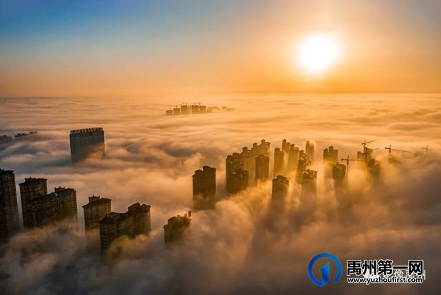 雾润禹州——禹州市摄影家协会会员作品选 雾润禹州——禹州市摄影家协会会员作品选