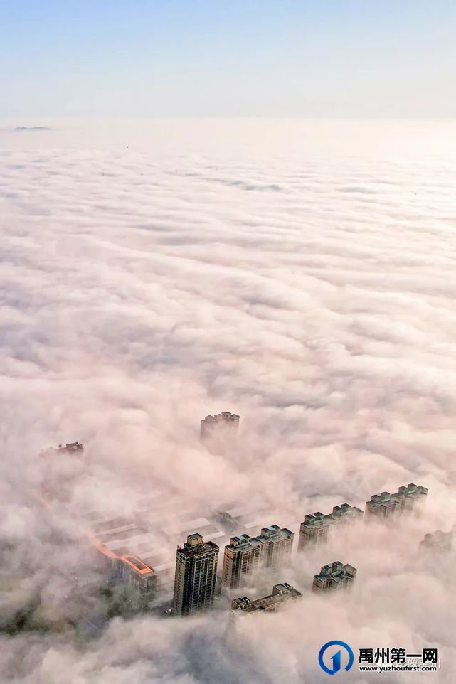 雾润禹州——禹州市摄影家协会会员作品选 雾润禹州——禹州市摄影家协会会员作品选