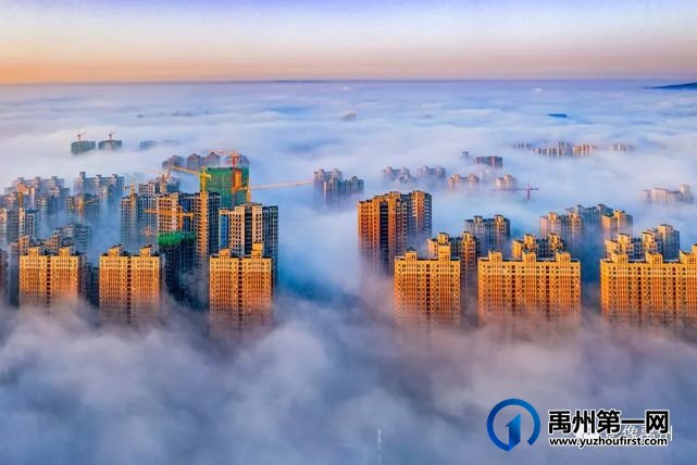雾润禹州——禹州市摄影家协会会员作品选 雾润禹州——禹州市摄影家协会会员作品选
