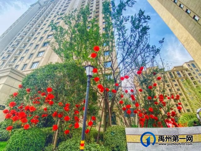 禹州天润公馆一期交房圆满成功!!! 禹州天润公馆一期交房圆满成功!!!
