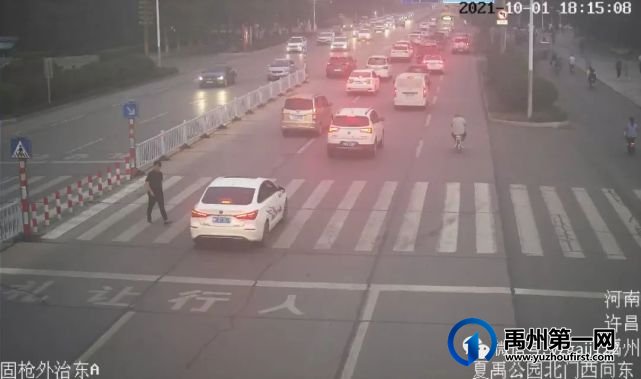 禹州斑马线前不礼让行人?曝光! 禹州斑马线前不礼让行人?曝光!