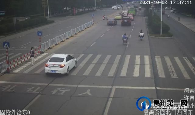 禹州斑马线前不礼让行人?曝光! 禹州斑马线前不礼让行人?曝光!