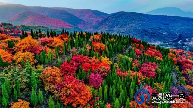 10月16号禹州大鸿寨第十四届红叶旅游季即将开幕式 10月16号禹州大鸿寨第十四届红叶旅游季即将开幕式