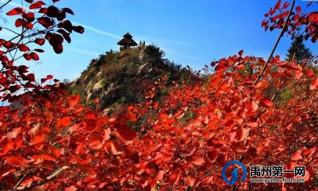 10月16号禹州大鸿寨第十四届红叶旅游季即将开幕式 10月16号禹州大鸿寨第十四届红叶旅游季即将开幕式
