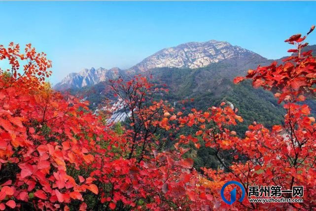 10月16号禹州大鸿寨第十四届红叶旅游季即将开幕式 10月16号禹州大鸿寨第十四届红叶旅游季即将开幕式