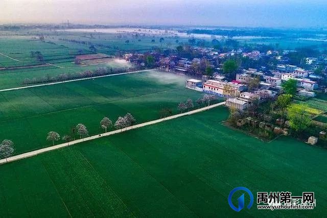 再见!褚河镇;你好!褚河街道 再见!褚河镇;你好!褚河街道