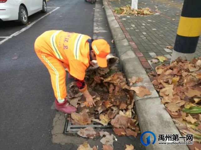 禹州环卫:秋风起落叶急 环卫工人忙清理 禹州环卫:秋风起落叶急 环卫工人忙清理