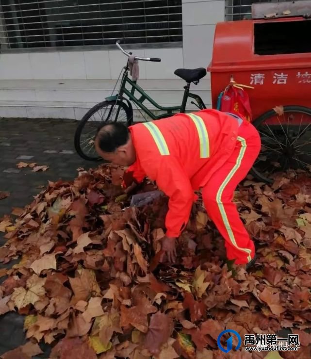 禹州环卫:秋风起落叶急 环卫工人忙清理 禹州环卫:秋风起落叶急 环卫工人忙清理