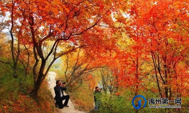 叮咚!禹州大鸿寨第十四届“红叶节”已如约而至 叮咚!禹州大鸿寨第十四届“红叶节”已如约而至