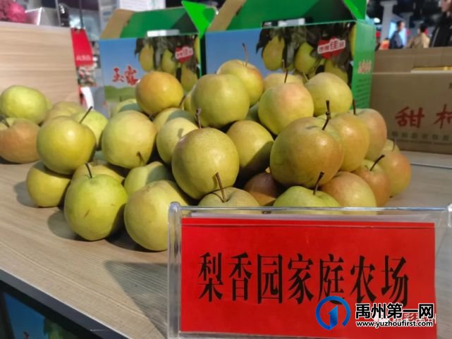 2021年禹州市“庆丰收 感党恩”农民丰收节举办 2021年禹州市“庆丰收 感党恩”农民丰收节举办