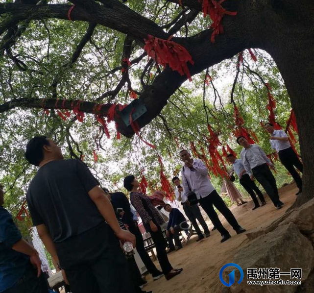 美丽乡村我的家,禹州黄沟邀您游 美丽乡村我的家,禹州黄沟邀您游