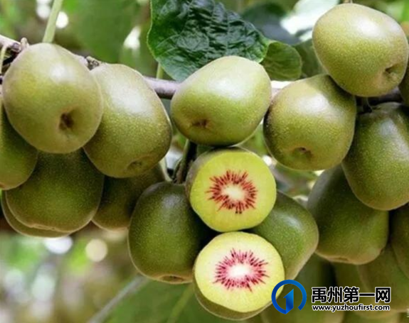 美丽乡村我的家,禹州黄沟邀您游 美丽乡村我的家,禹州黄沟邀您游