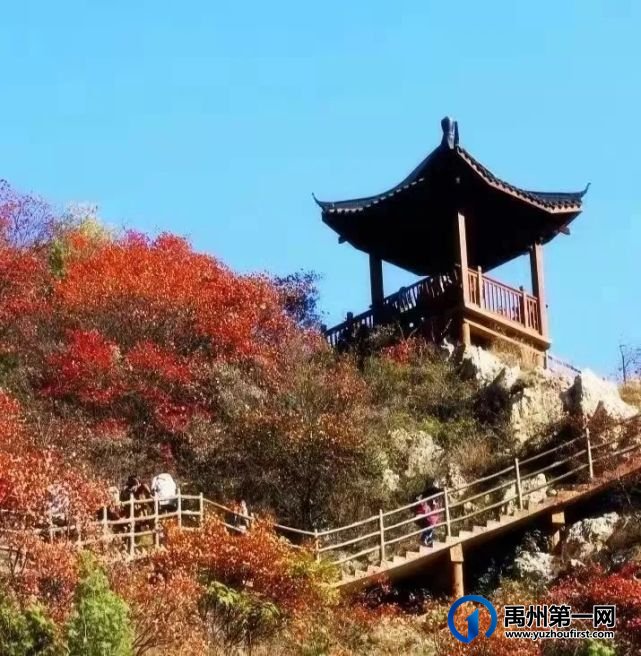 禹州大鸿寨“红”了,漫山遍野都是红叶 禹州大鸿寨“红”了,漫山遍野都是红叶