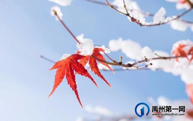 禹州天润府挥手告别秋天 府上的温暖仍在心间 禹州天润府挥手告别秋天 府上的温暖仍在心间