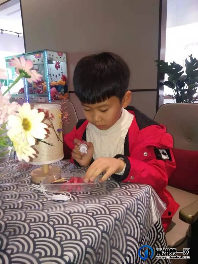 禹州润泓钧樾府丨干花台灯手作温情绽放,点亮周末芬芳时光 禹州润泓钧樾府丨干花台灯手作温情绽放,点亮周末芬芳时光