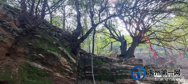 禹州鸠山的红叶红啦！