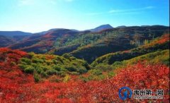 红叶层林尽染！禹州鸠山在最美的季节等你来