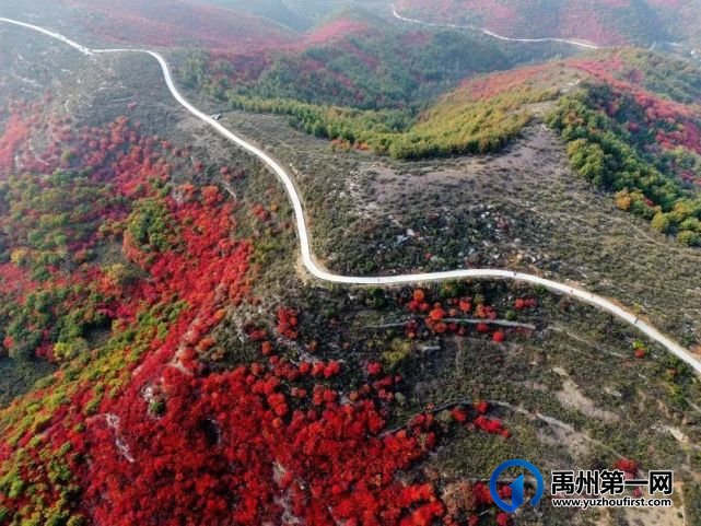 红叶层林尽染!禹州鸠山在最美的季节等你来 红叶层林尽染!禹州鸠山在最美的季节等你来