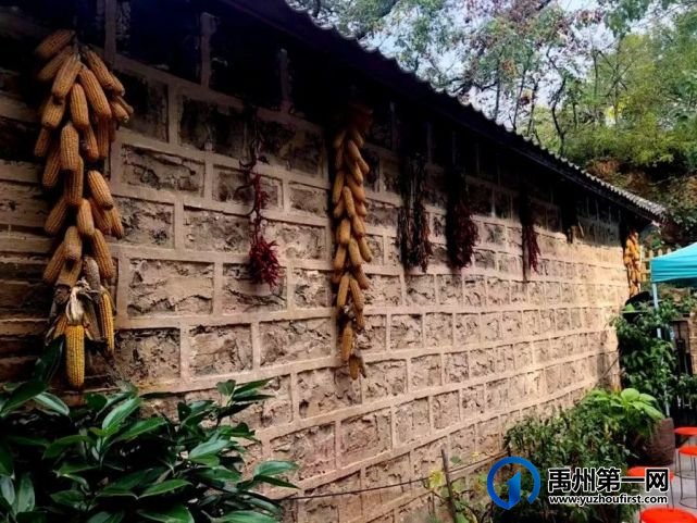红叶层林尽染!禹州鸠山在最美的季节等你来 红叶层林尽染!禹州鸠山在最美的季节等你来