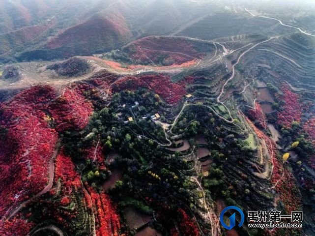 红叶层林尽染!禹州鸠山在最美的季节等你来 红叶层林尽染!禹州鸠山在最美的季节等你来