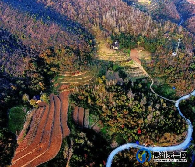 红叶层林尽染!禹州鸠山在最美的季节等你来 红叶层林尽染!禹州鸠山在最美的季节等你来