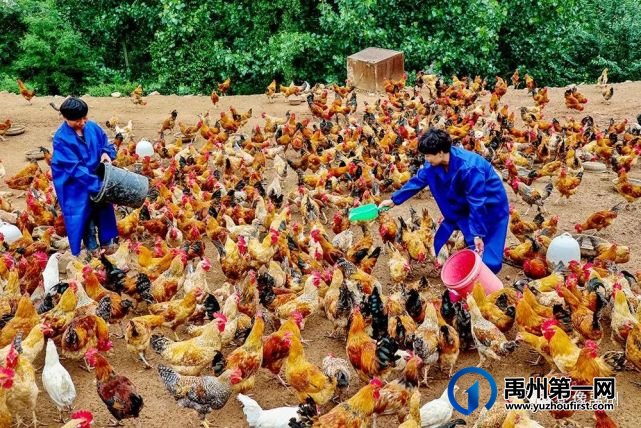 禹州:传播城市温度,打造文明之城(百图集) 禹州:传播城市温度,打造文明之城(百图集)