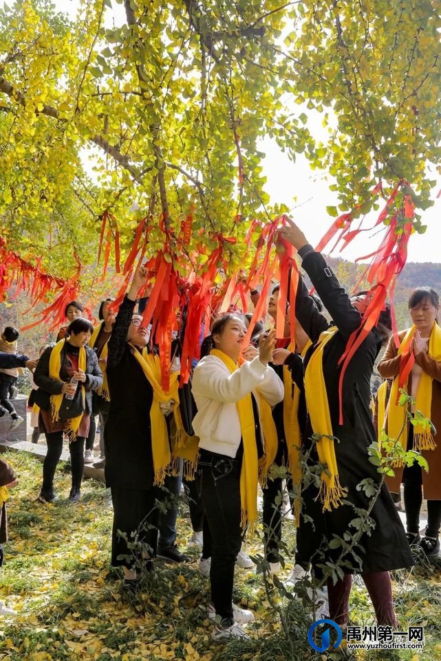 禹州:传播城市温度,打造文明之城(百图集) 禹州:传播城市温度,打造文明之城(百图集)