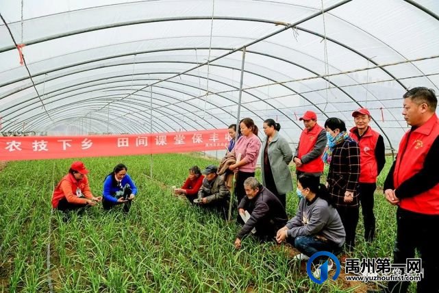 禹州:传播城市温度,打造文明之城(百图集) 禹州:传播城市温度,打造文明之城(百图集)