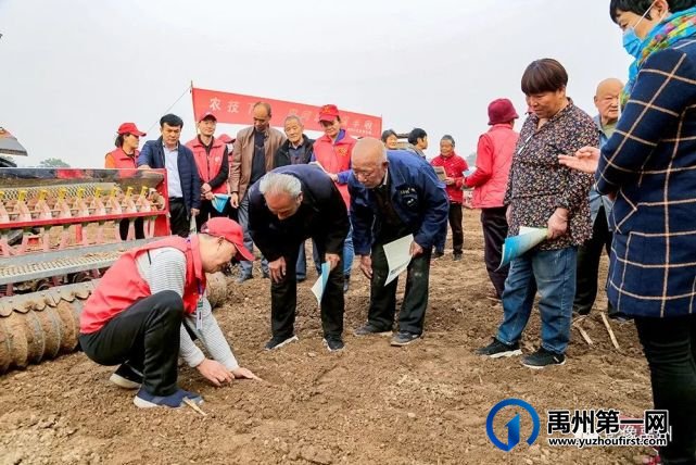 禹州:传播城市温度,打造文明之城(百图集) 禹州:传播城市温度,打造文明之城(百图集)