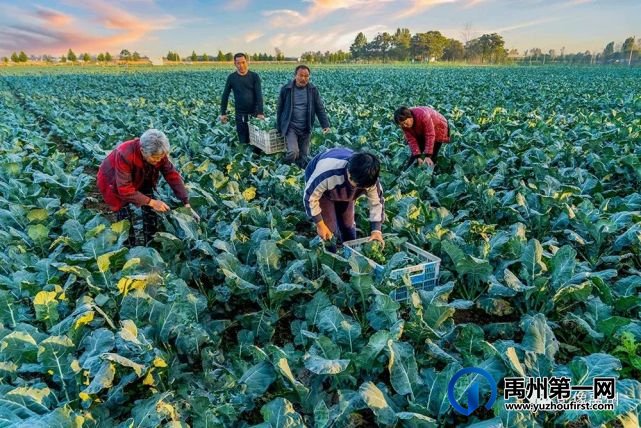 禹州:传播城市温度,打造文明之城(百图集) 禹州:传播城市温度,打造文明之城(百图集)