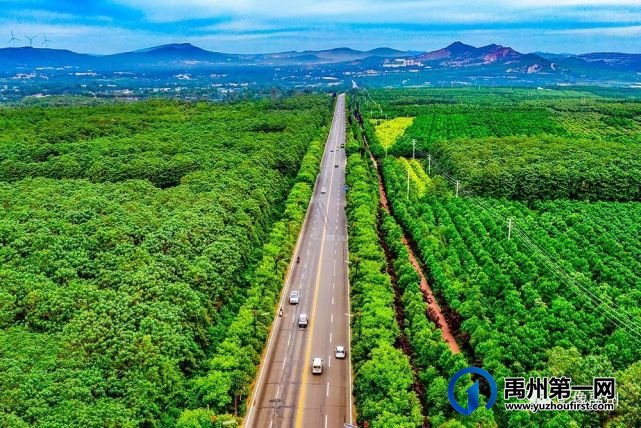 禹州:传播城市温度,打造文明之城(百图集) 禹州:传播城市温度,打造文明之城(百图集)