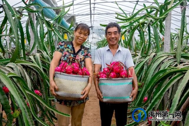禹州:传播城市温度,打造文明之城(百图集) 禹州:传播城市温度,打造文明之城(百图集)