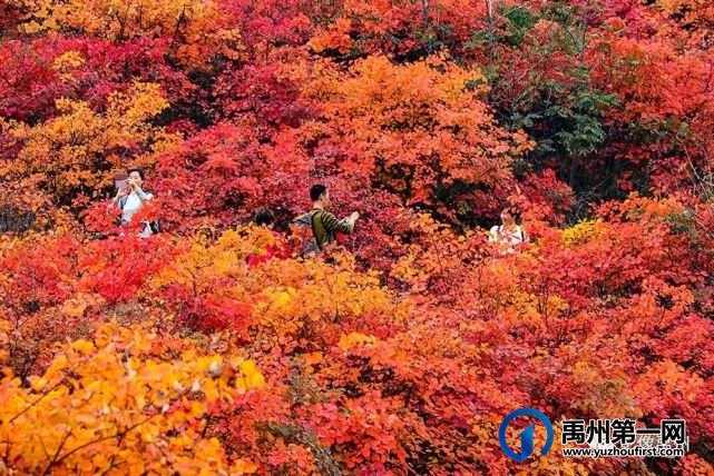 禹州:传播城市温度,打造文明之城(百图集) 禹州:传播城市温度,打造文明之城(百图集)